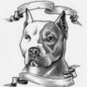 Meet your Posher, Nicholas